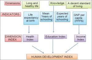 Maharastra  Human Development Index