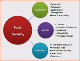 Maharashtra Food security